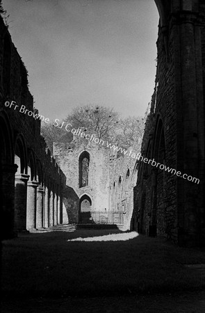 ABBEY NAVE FROM ALTAR